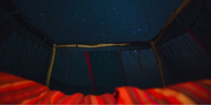 Star gazing.