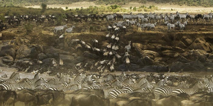 Great Migration