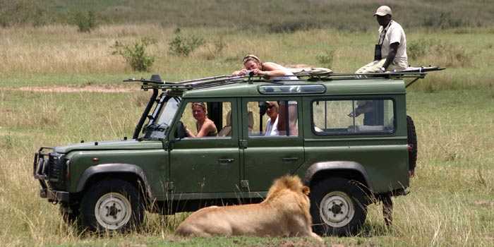 Game drive