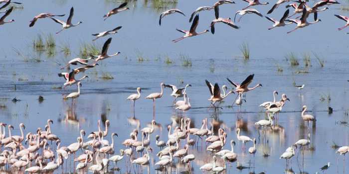 Lake Manyara