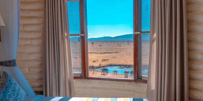 Game Viewing from bedroom window