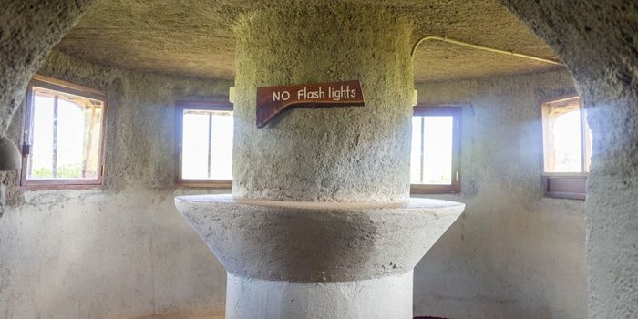 Tunnel game viewing hide