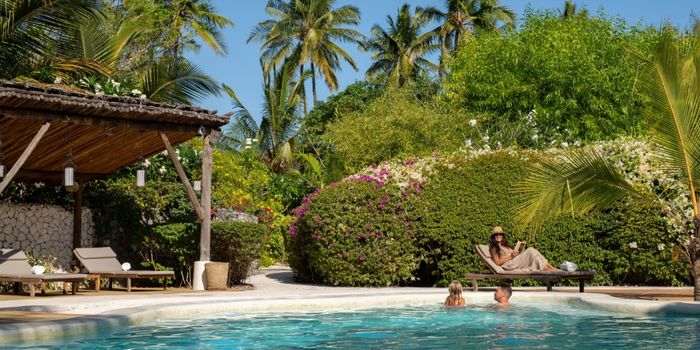 Pool surounded by lush gardens