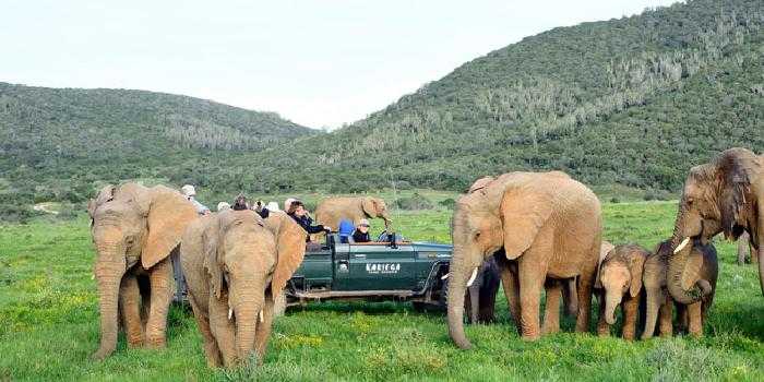 Game drive