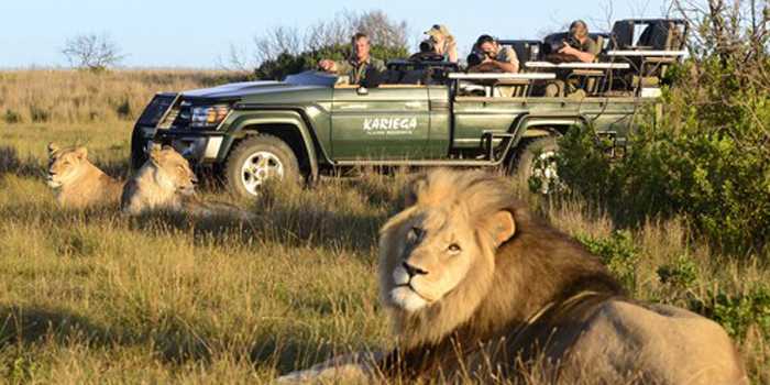 Game drive