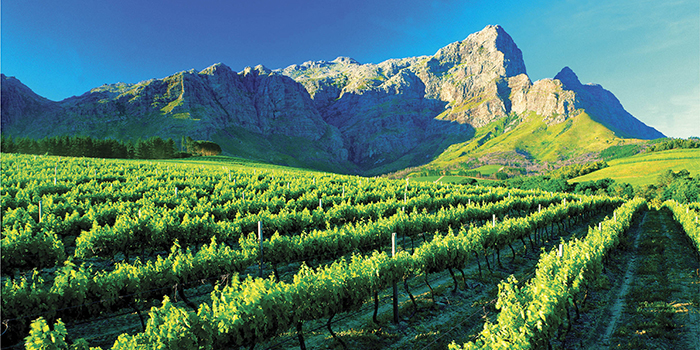 Franschhoek