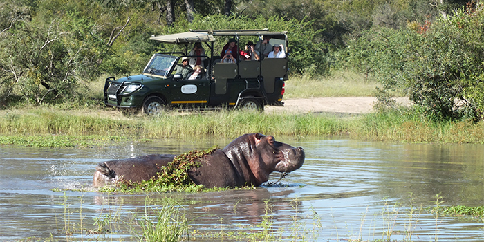 Kruger National Park