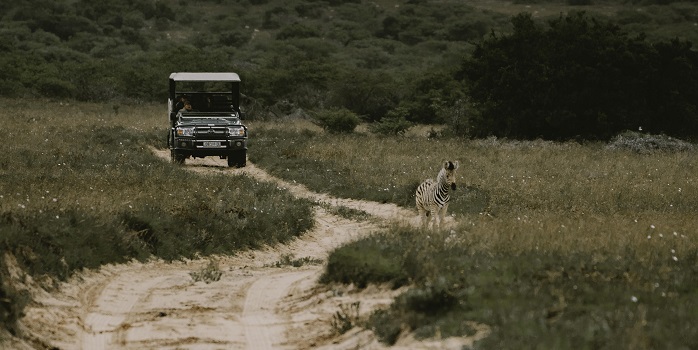 Bukela Game Drive