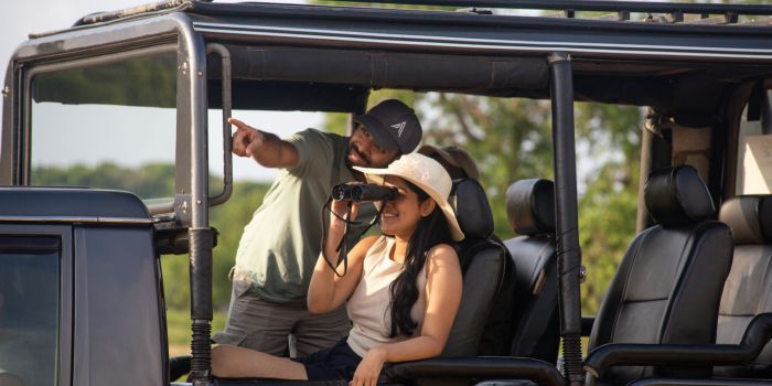 Safari Game Drives