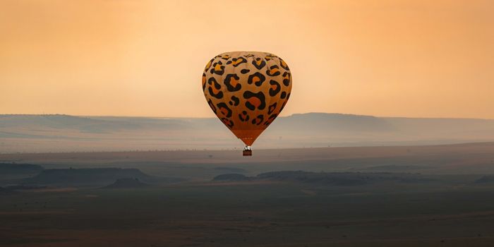 Hot Air Balloon