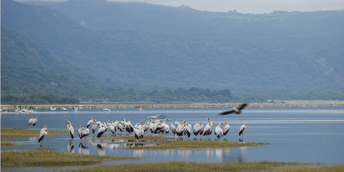 Lake Manyara