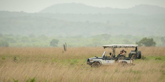 Game drives