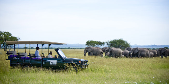 Game drive