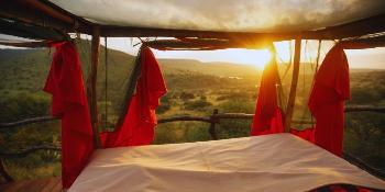 elewana loisaba star beds image 4