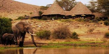 elewana-tortilis-camp-amboseli