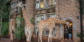 giraffe-manor