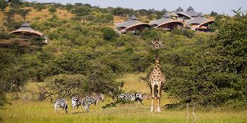 mahali mzuri image 3