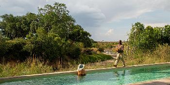 elewana-sand-river-mara