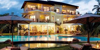 soroi blue, diani image 4