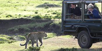 kicheche mara camp image 5