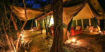 nairobi tented camp image 0