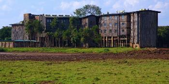 treetops lodge image 3