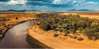 ashnil samburu camp image 3