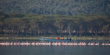 governors-flying-safari