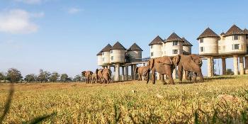 salt-lick-safari-lodge