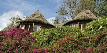 arusha-serena-hotel,-resort-and-spa