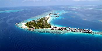 coco bodu hithi image 5