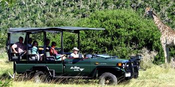 sibuya game reserve & lodge image 0
