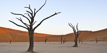 namibian-discovery-14-days