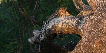 enchanting-sri-lanka