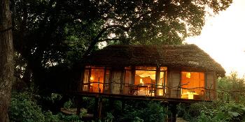 &beyond lake manyara tree lodge image 1