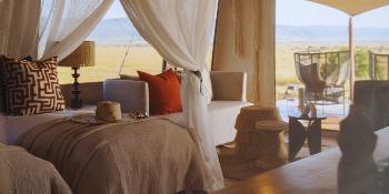 envi sisini serengeti image 5