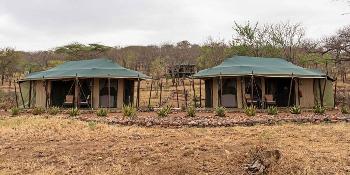 ole serai luxury camp moru kopjes (central serengeti) image 5