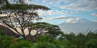 View of Mt Kili