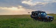 Game drives in the Mara savannah