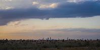 Nairobi National Park