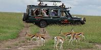 Fig Tree Camp - Masai Mara