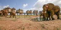 View from tunnel hide at waterhole