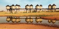 Waterhole