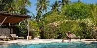 Pool surounded by lush gardens