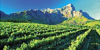 Franschhoek