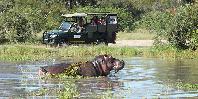 Kruger National Park