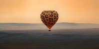 Hot Air Balloon
