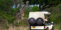 Game drives