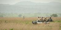 Game drives