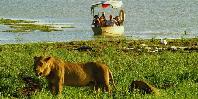 Boat Safaris